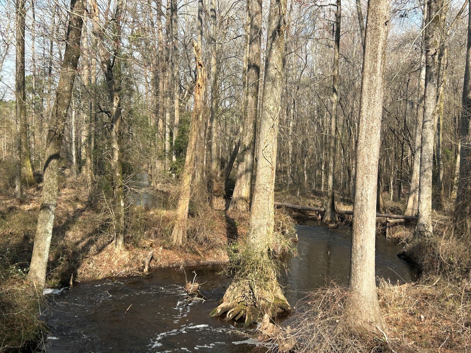 100498527 | Photo 15